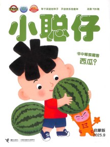 小聪仔婴儿版
